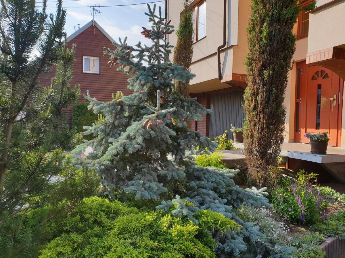 אוגוסטוב Apartamenty I Pokoje U Beaty מראה חיצוני תמונה